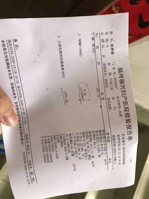 孕酮太低 医生开了孕酮药 怎么办