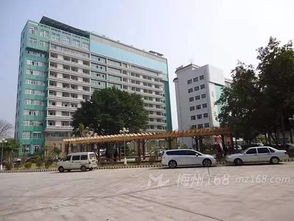 兴宁市人民医院将迁址福兴新联村，助力区域医疗资源优化升级